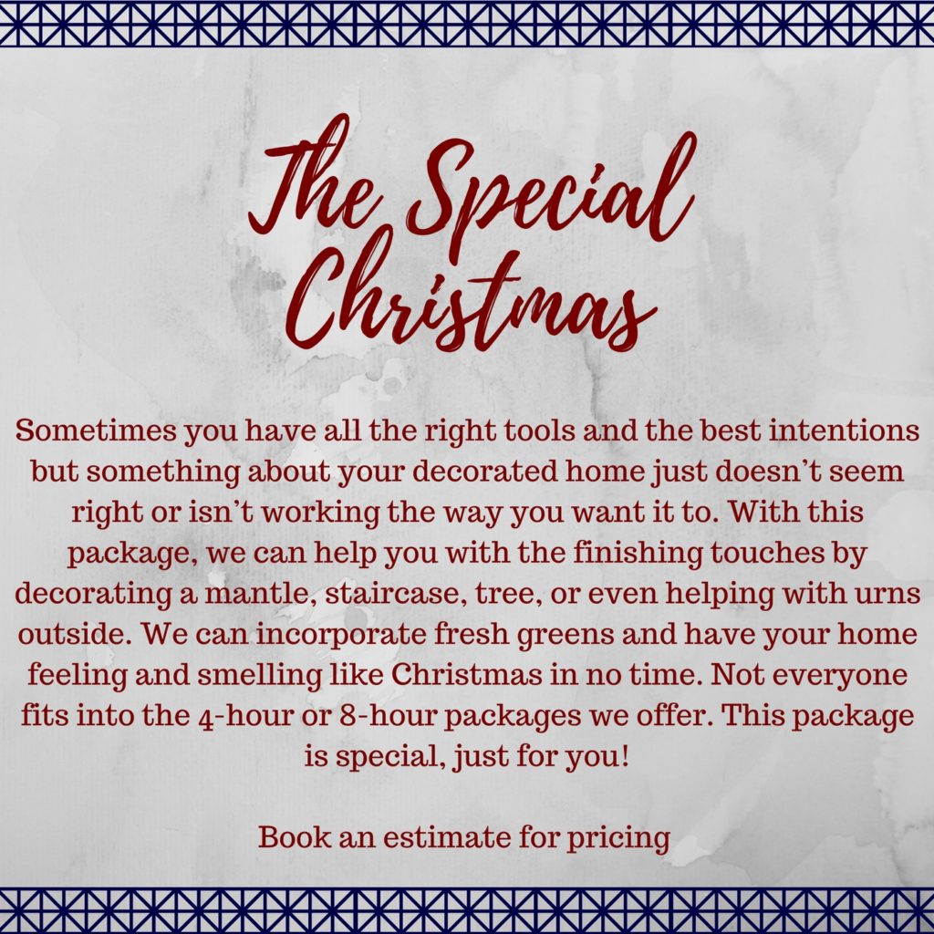 | The Special Christmas |